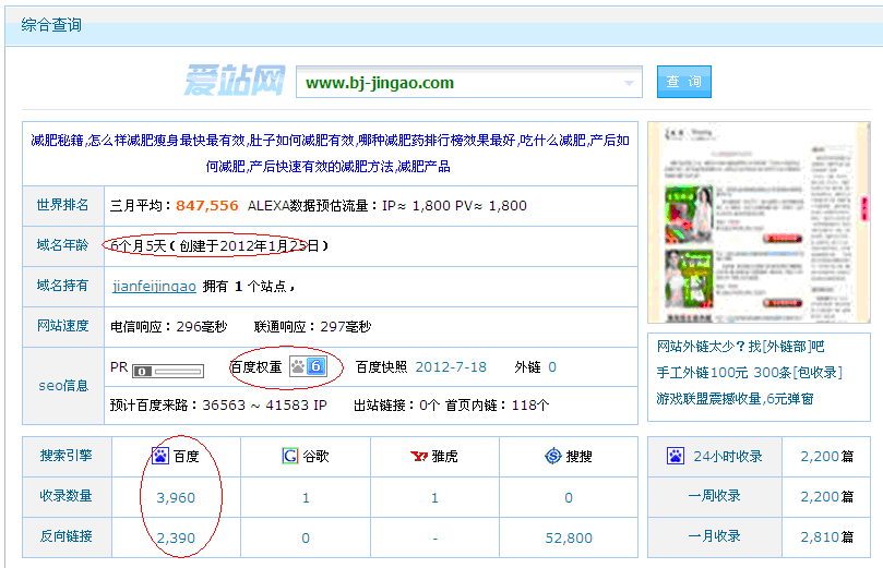 招商网站优化